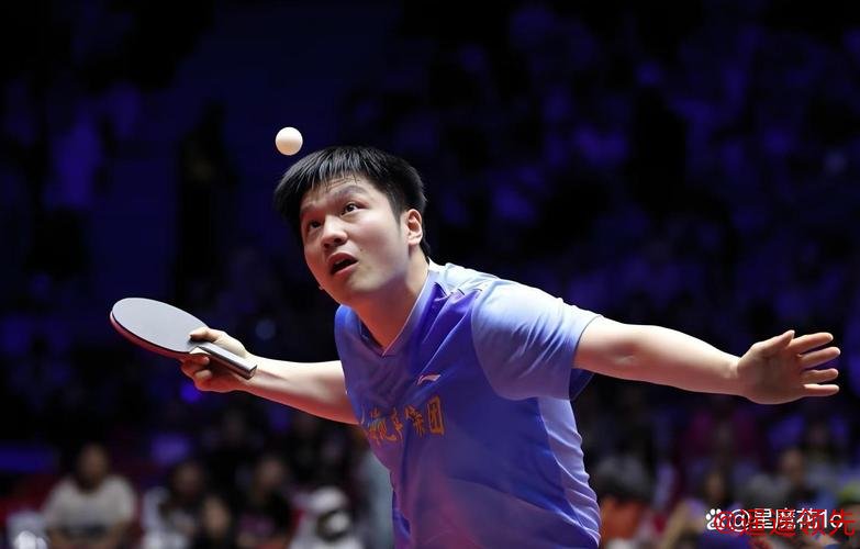 奥运国乒男团3-0印度进8强 樊振东逆转王楚钦横扫