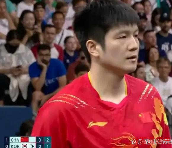 奥运国乒男团3-0韩国进4强 樊振东王楚钦各丢1局