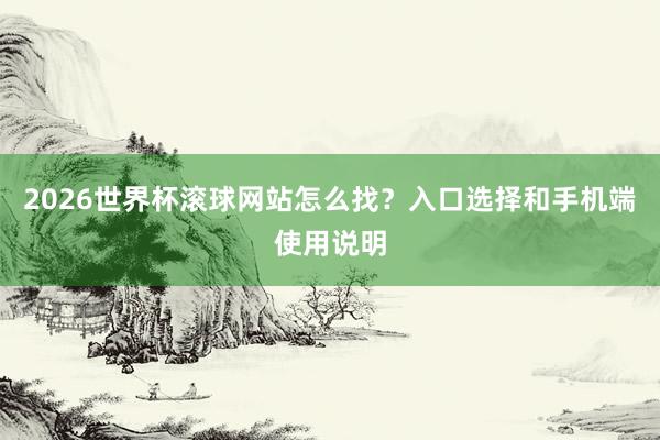 2026世界杯滚球网站怎么找？入口选择和手机端使用说明